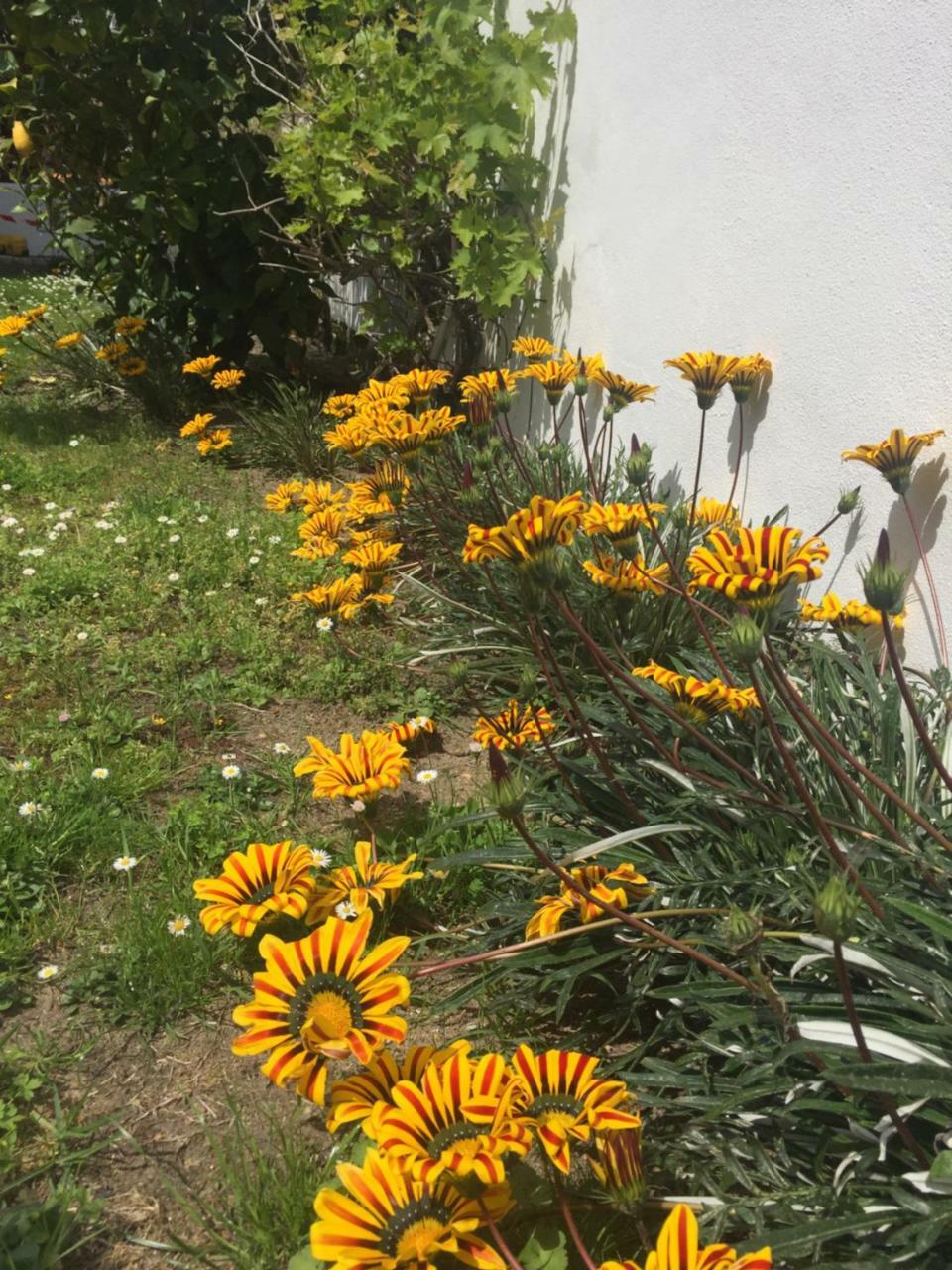 Maison La Fleur De Sel Ανγκλέ Εξωτερικό φωτογραφία